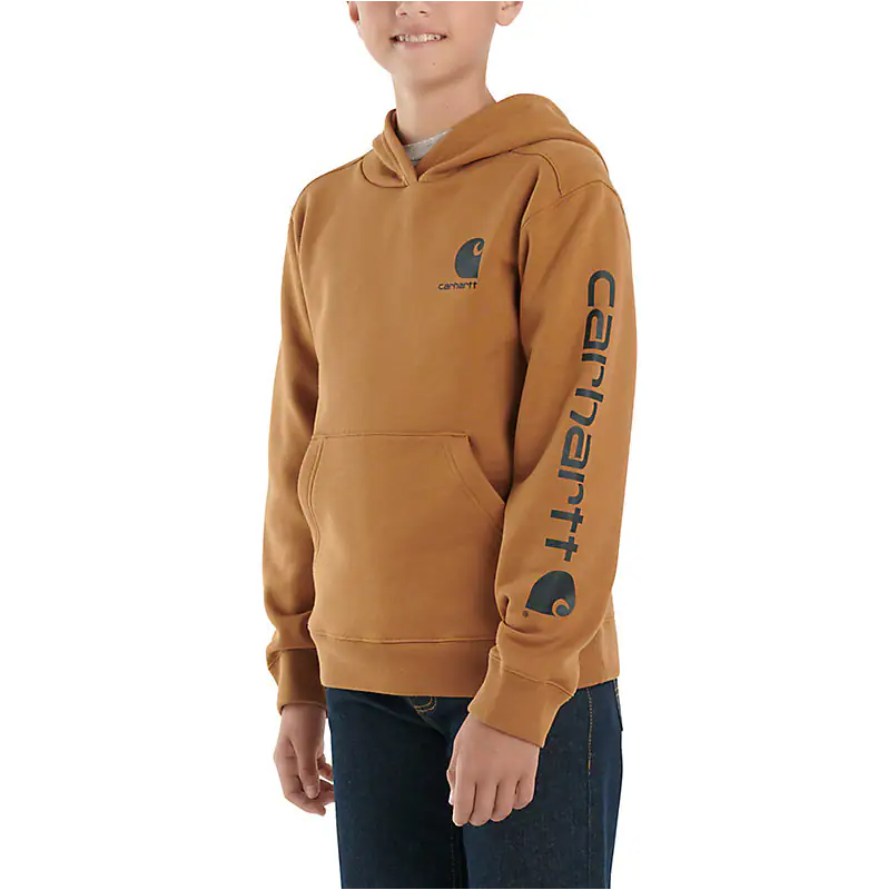 Carhartt Boys' Graphic Sweatshirt (Child & Youth)