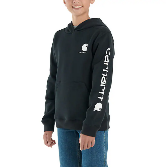 Carhartt Boys' Graphic Sweatshirt (Child & Youth)